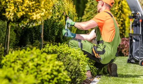 How to Choose the Best Commercial Landscaping Company in Seminole and Orange County