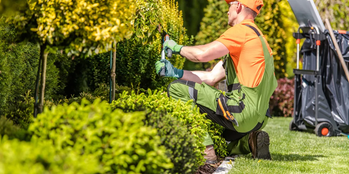 How to Choose the Best Commercial Landscaping Company in Seminole and Orange County