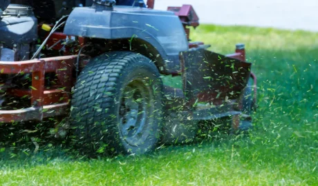 The Hidden ROI of Professional Commercial Landscaping Services