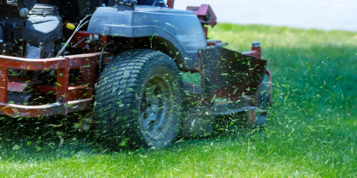 The Hidden ROI of Professional Commercial Landscaping Services