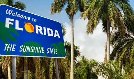 The Ultimate Guide to Commercial Landscape Maintenance for Orlando Businesses