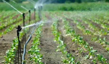 Commercial Irrigation Mistakes Florida Properties Should Avoid