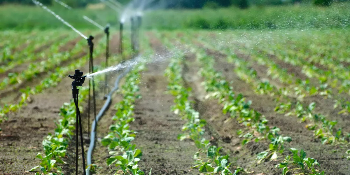 Commercial Irrigation Mistakes Florida Properties Should Avoid