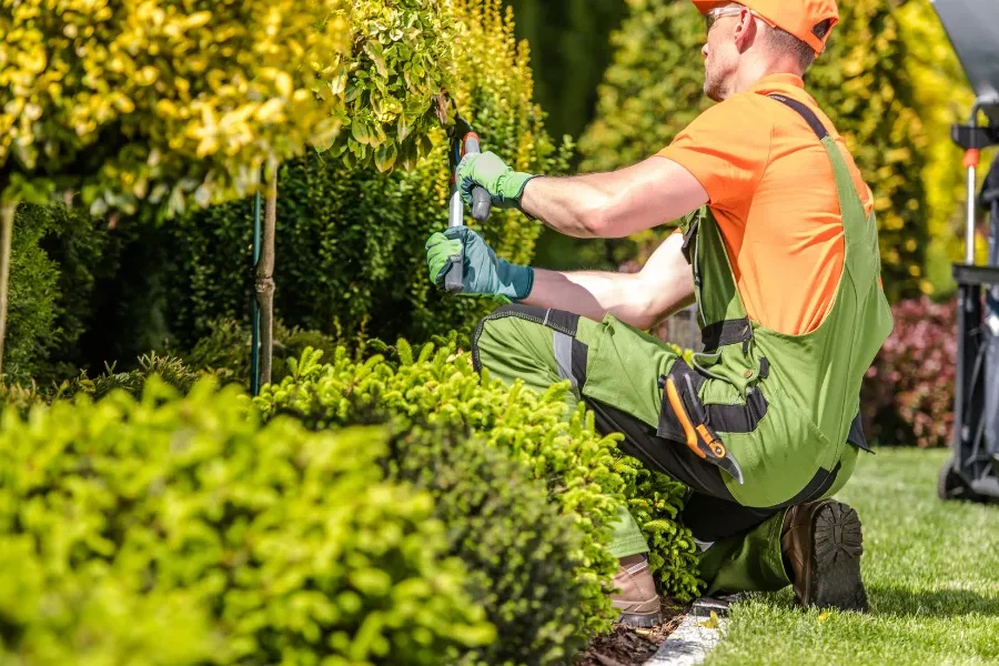 How to Choose the Best Commercial Landscaping Company in Seminole and Orange County