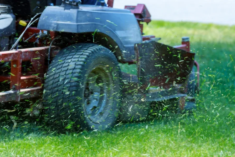 The Hidden ROI of Professional Commercial Landscaping Services